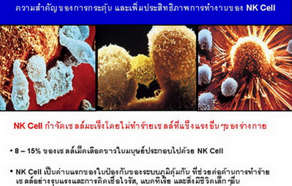 NK Cells (ྪæҵ) 